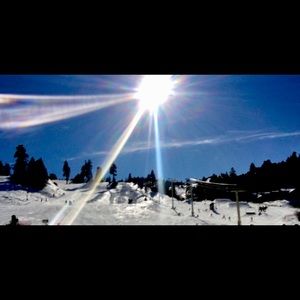 Meet your Posher, Wendy